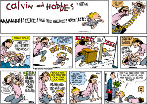 Calvin-Hobbes-Comic-Strips-calvin-and-hobbes-27569965-500-355.gif