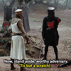 Monty Python Holy Grail Quotes