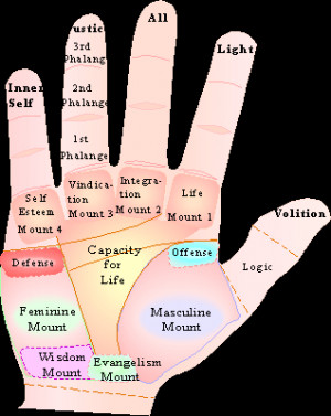 Astrological Signs in the Hand