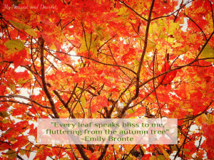 ... fall quotes including this one about autumn leaves by Emily Bronte