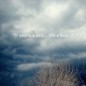 Notebook; if your a bird, im im bird