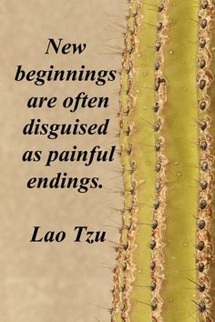 New beginnings are often disguised as painful endings.” -- Lao Tzu ...