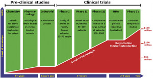 Drug Development Process