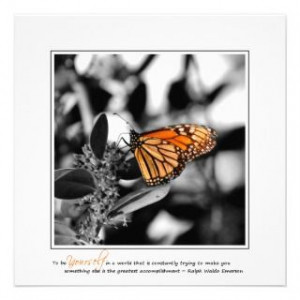 quote senior graduation quotes funny graduation quotes daughter quotes