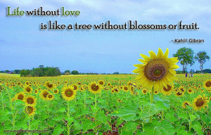 Love Quotes-Thoughts-Kahill Gibran-Life-Tree-Blossoms-Fruit-Best