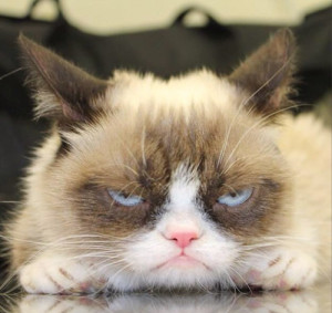 This cat Looks So sad … But We