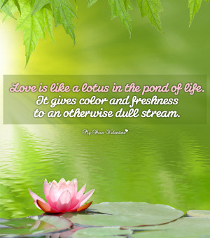 Inspirational Picture Quote - Lotus in the Pond