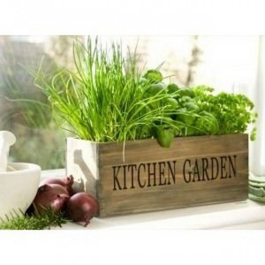 Source: http://www.amazon.co.uk/Wooden-Kitchen-Herb-Garden-Kit/dp ...