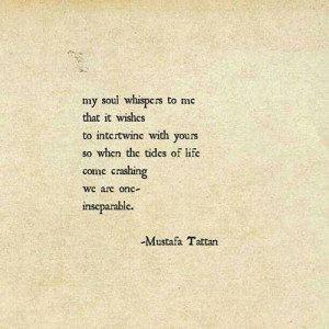 ... Quotes About Soulmates, Inseparable Quotes, Intertwined, Tide, Crash