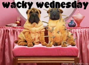 It's Wednesday, hump day, again what can we do for fun to liven up ...