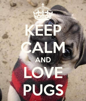 keep calm and love pugs