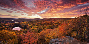 Edward H. Harriman: The Legacy of A Railroad Tycoon Naturalist