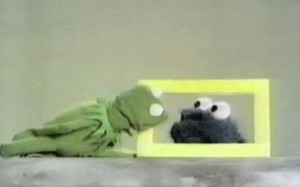 ... animals subcategory frogs hd wallpapers tags kermit the frog