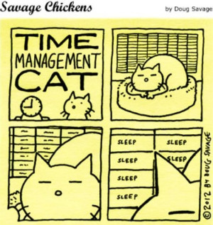 Funny Quotes Time Management Videos Cats Cat