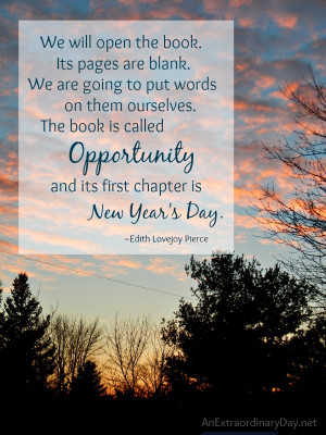 The book is called Opportunity and its first chapter is New Year’s ...