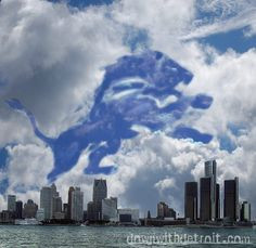 Let's Go Lions!! Get cool Detroit football gear at www.downwithdetroit ...