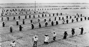 Tombstone: The Great Chinese Famine, 1958-1962,’ by Yang Jisheng