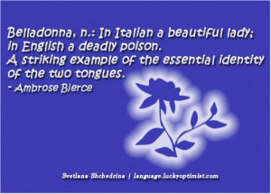 ... the language in which god has written the universe galileo galilei