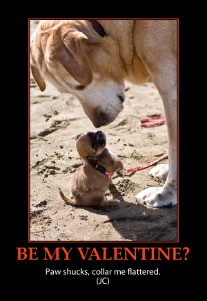 valentine-puppy-and-dog-cutest-poster
