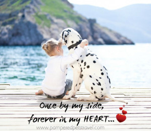 ... cute #dogs #quotes #beach #summer #kid #sun #travel #trip #traveling #