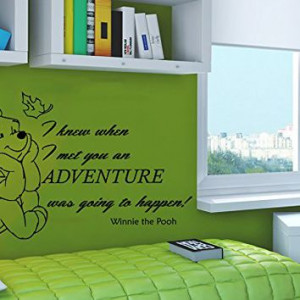 Wall Decals Quotes Vinyl Sticker Decal Quote Winnie the Pooh I knew ...