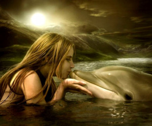 ... pictures dolphin top hd desktop wallpaper dolphin widescreen wallpaper