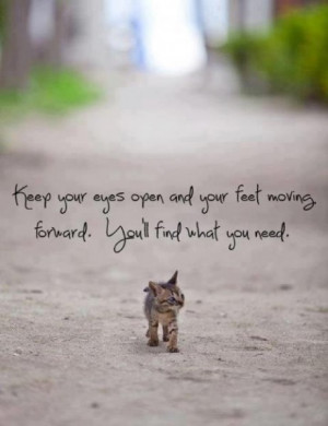 ... Your Feet Moving Forward. You’ll Find What You Need. ~ Cat Quotes