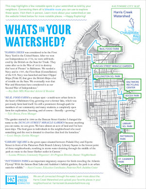 Handout with quotes from watershed residents about bright spots and ...