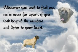 Dog Quotes Heaven Pic #15