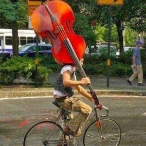 the double bass or upright bass also called the string bass bass ...