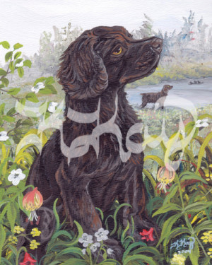 Funny Quotes Contact Dmca...