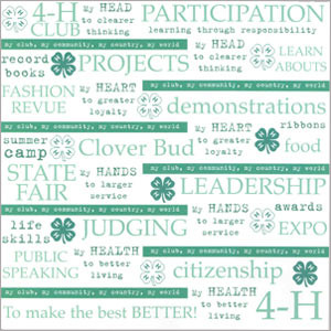 Quotes Scrapbook Paper