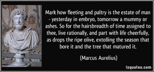 Mark how fleeting and paltry is the estate of man - yesterday in ...