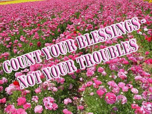 ... www.pics22.com/blessings-quote-count-your-blessings-not-your-troubles