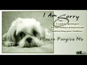 Am Sorry I Want To Apologize Please Forgive Me - Apology Quote