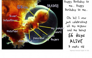 Being Pro-Life Pro-Life