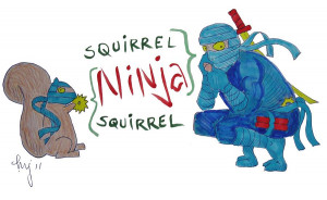 squirrel-ninja-ninja-squirrel-mike-jory.jpg