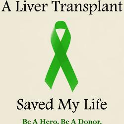 liver_transplant_survivor_ash_grey_tshirt.jpg?height=250&width=250 ...