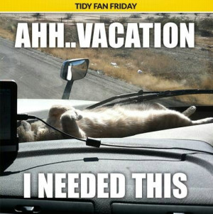 Take an unplanned spur of the moment trip