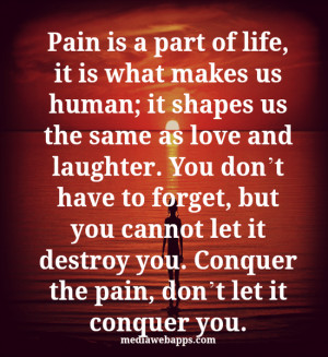Pain is a part of life, it is what makes us human; it shapes us the ...