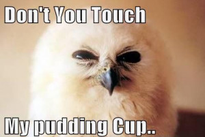Don’t you touch my pudding cup