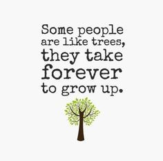 grow up quotes | Some people are like trees, they take forever to grow ...