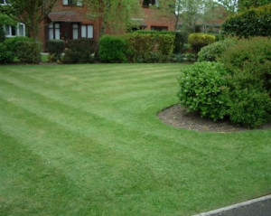 bletchley-grass-cutting-lawn-mowing.jpg