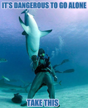 funny shark week: Like A Boss, Funny Cat Photos, Sharks Weeks, Scuba ...