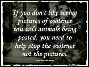 Help Stop The Violence....Be Vegan!