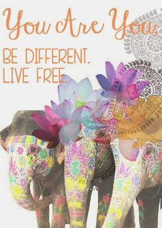 ... live free # quote # elephants more art quotes see quotes quotes