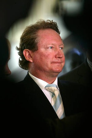 CEO of Fortescue Metals Group Andrew Forrest. Photo: Erin Jonasson