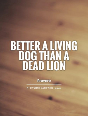 Dog Quotes Lion Quotes Living Quotes Proverb Quotes