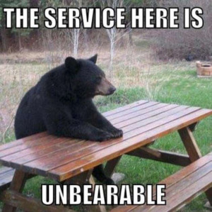 Really funny bear photo-W630