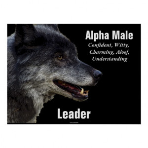 Alpha Male Grey Wolf Motivational Poster